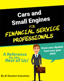 Practical Skills for Financial Service Professionals