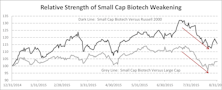 Small/Micro Cap Biotechnology: Still Richly Valued
